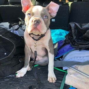 Meet your Posher, Lee